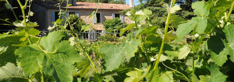 LES VIGNES DE TERRISSE